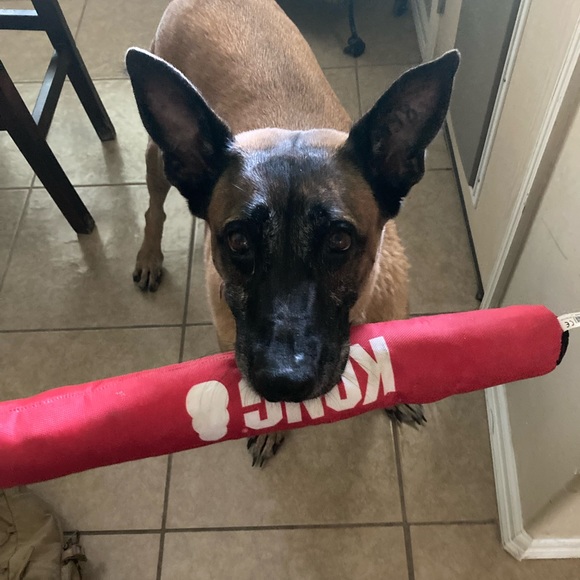 SC - Picture 10 of 17